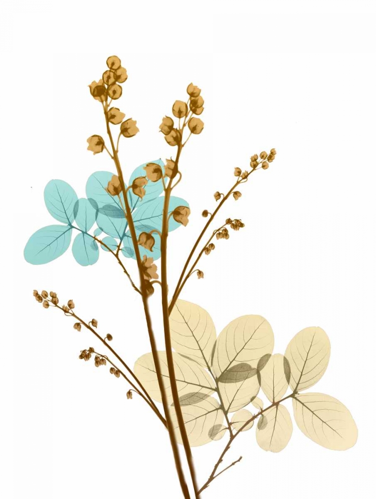 Desert Bloom 1 art print by Albert Koetsier for $57.95 CAD