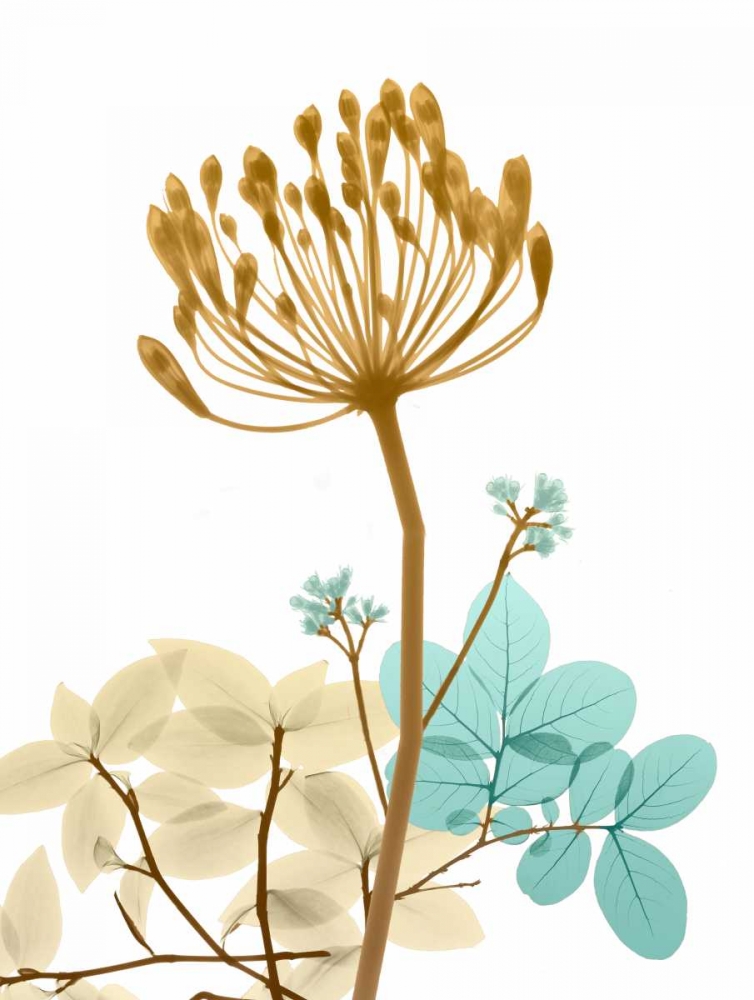 Desert Bloom 2 art print by Albert Koetsier for $57.95 CAD