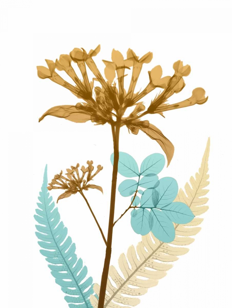 Desert Bloom 3 art print by Albert Koetsier for $57.95 CAD