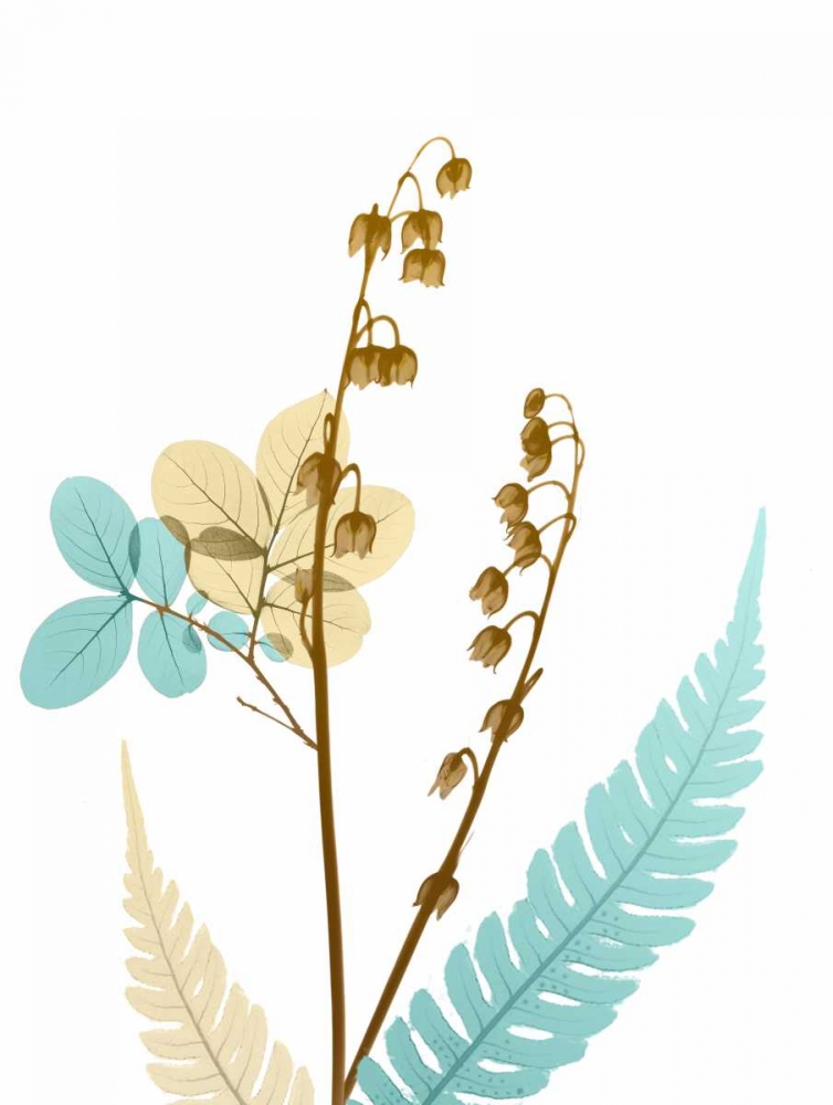 Desert Bloom 4 art print by Albert Koetsier for $57.95 CAD