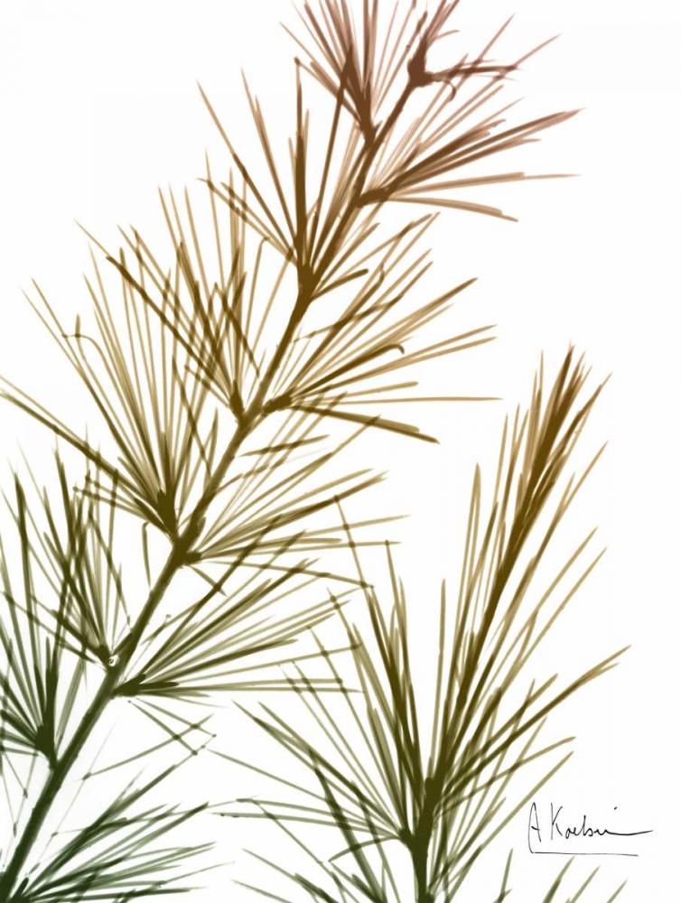 Autumn Sequoia art print by Albert Koetsier for $57.95 CAD
