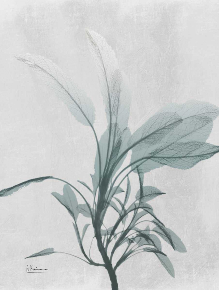 Emerald Sage 1 art print by Albert Koetsier for $57.95 CAD
