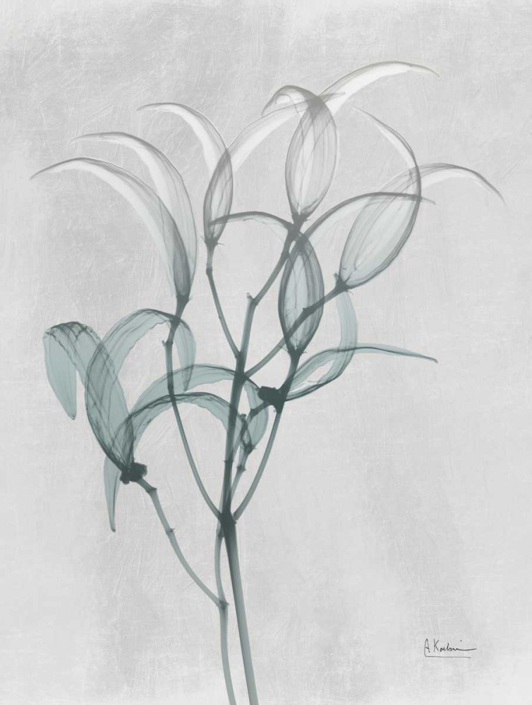 Emerald Oleander Bush art print by Albert Koetsier for $57.95 CAD