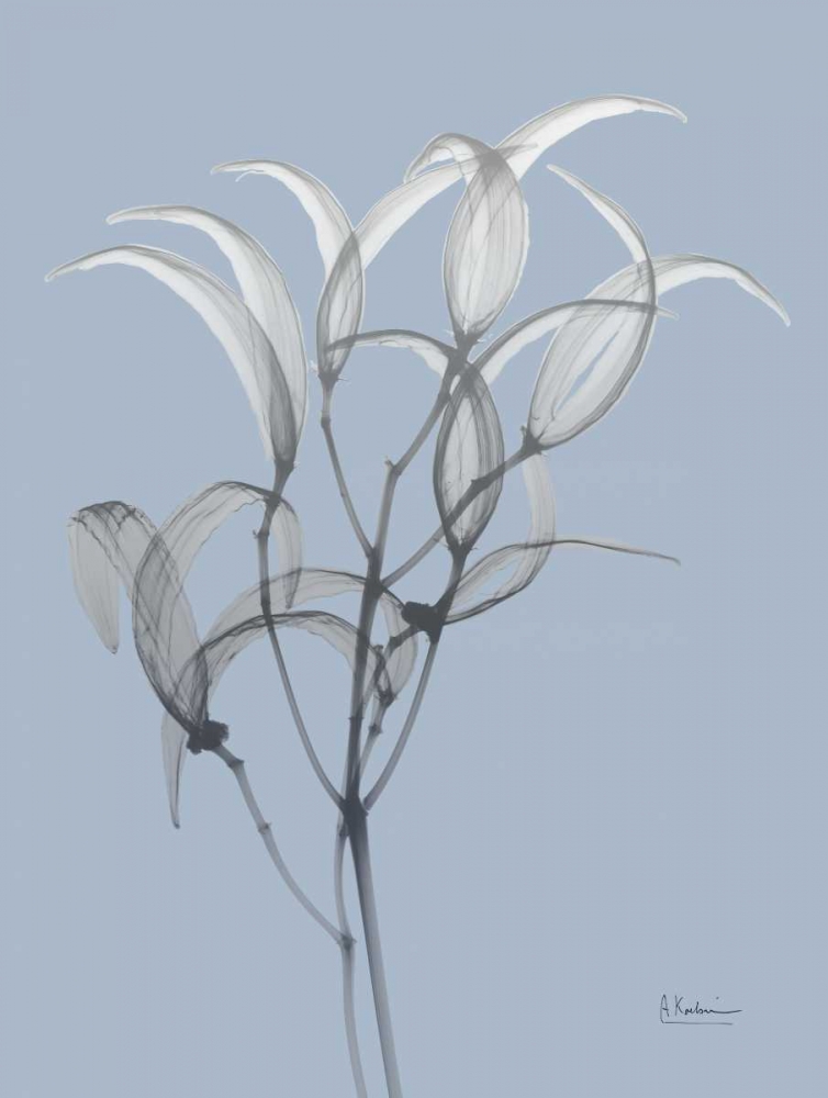 Skyway Oleander Bush art print by Albert Koetsier for $57.95 CAD