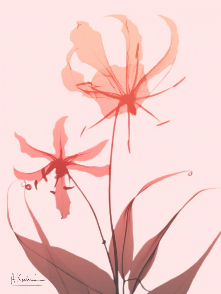 Furiosa Lily art print by Albert Koetsier for $57.95 CAD