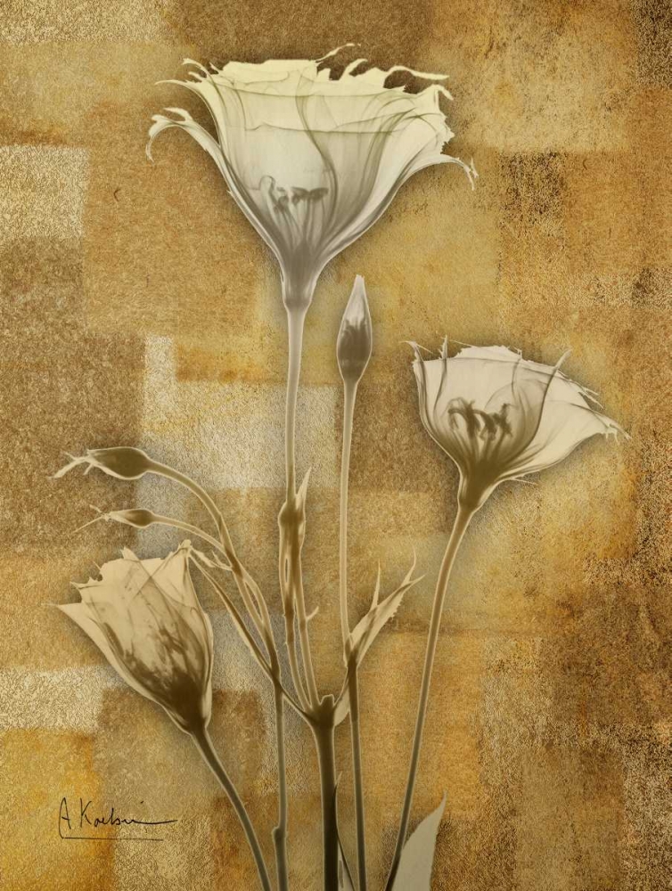 Zenfully Golden 2 art print by Albert Koetsier for $57.95 CAD