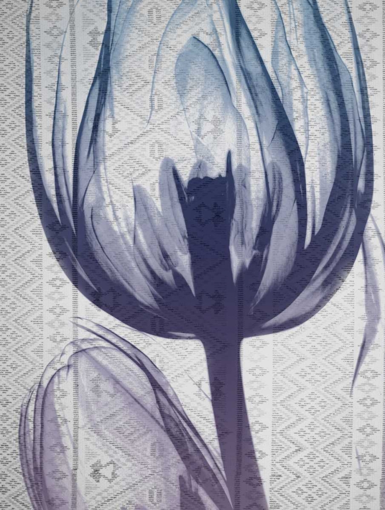Aubergine Textiles 1 art print by Albert Koetsier for $57.95 CAD