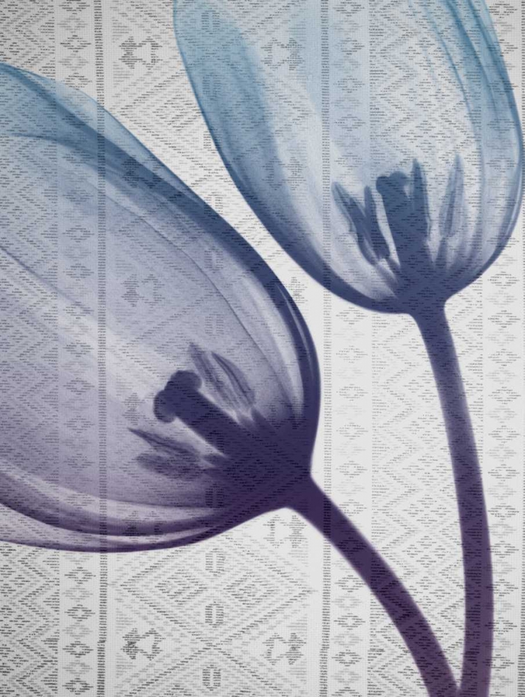 Aubergine Textiles 2 art print by Albert Koetsier for $57.95 CAD
