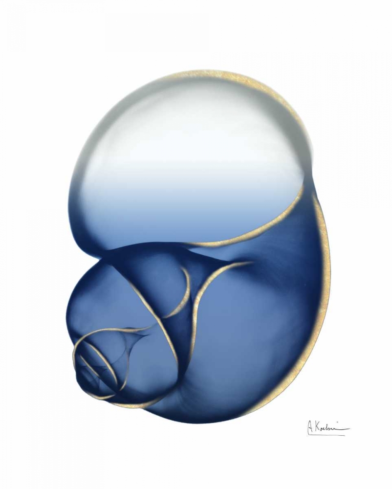 Shimmering Indigo Snail 1 art print by Albert Koetsier for $57.95 CAD