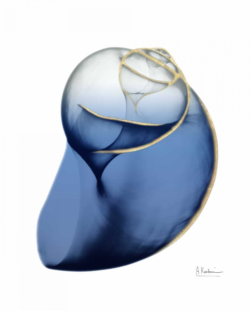 Shimmering Indigo Snail 2 art print by Albert Koetsier for $57.95 CAD