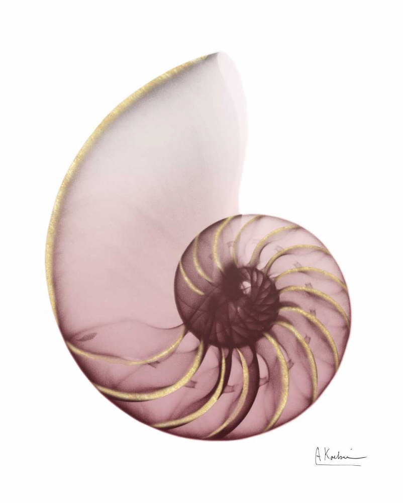 Shimmering Blush Snail 1 art print by Albert Koetsier for $57.95 CAD