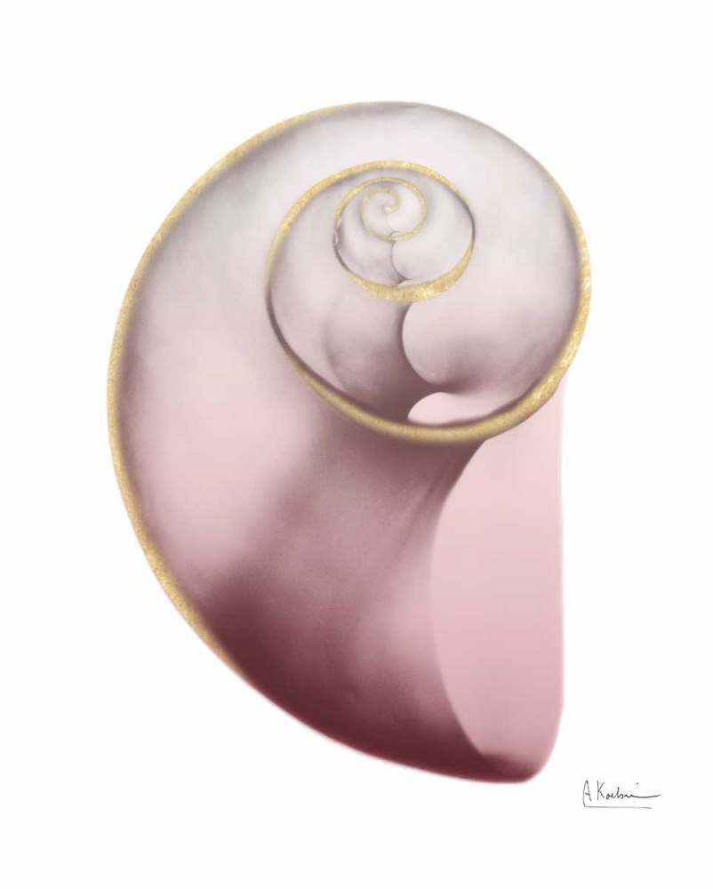 Shimmering Blush Snail 2 art print by Albert Koetsier for $57.95 CAD