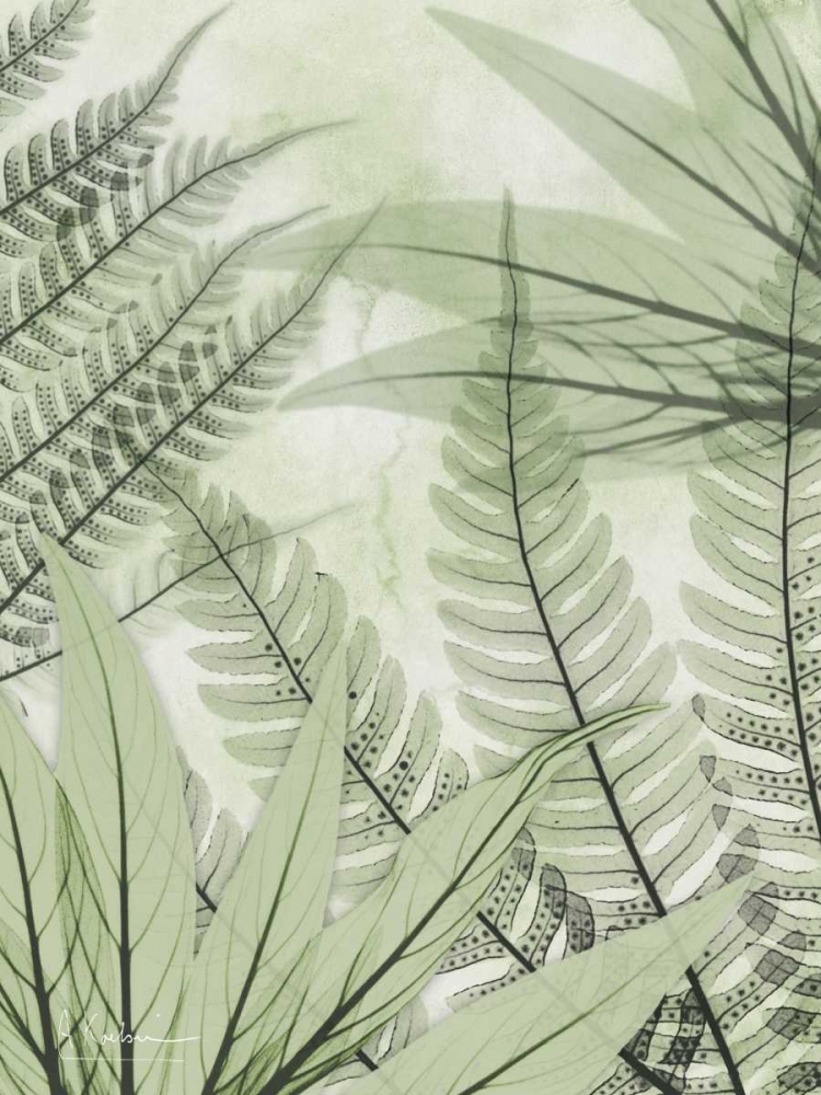 Prehistoric Awakening art print by Albert Koetsier for $57.95 CAD