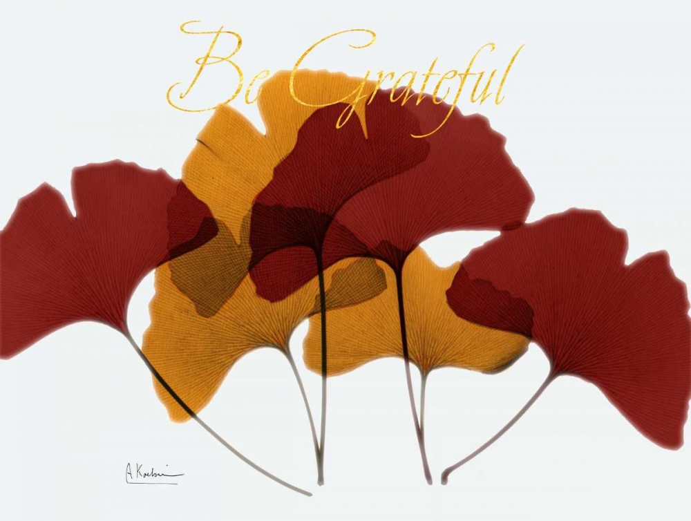 Grateful Gingko Fall art print by Albert Koetsier for $57.95 CAD