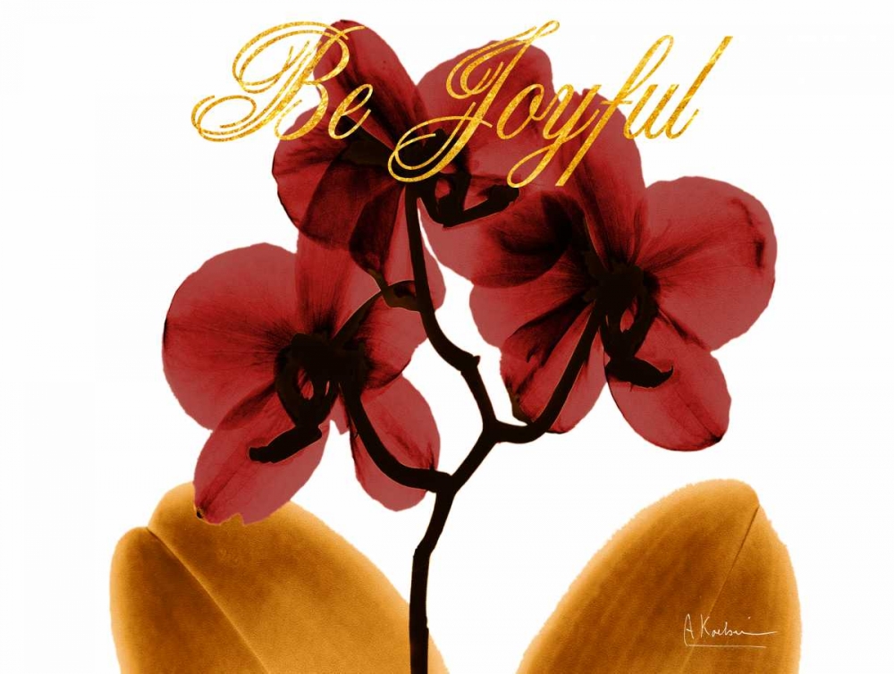 Joyful Orchid art print by Albert Koetsier for $57.95 CAD