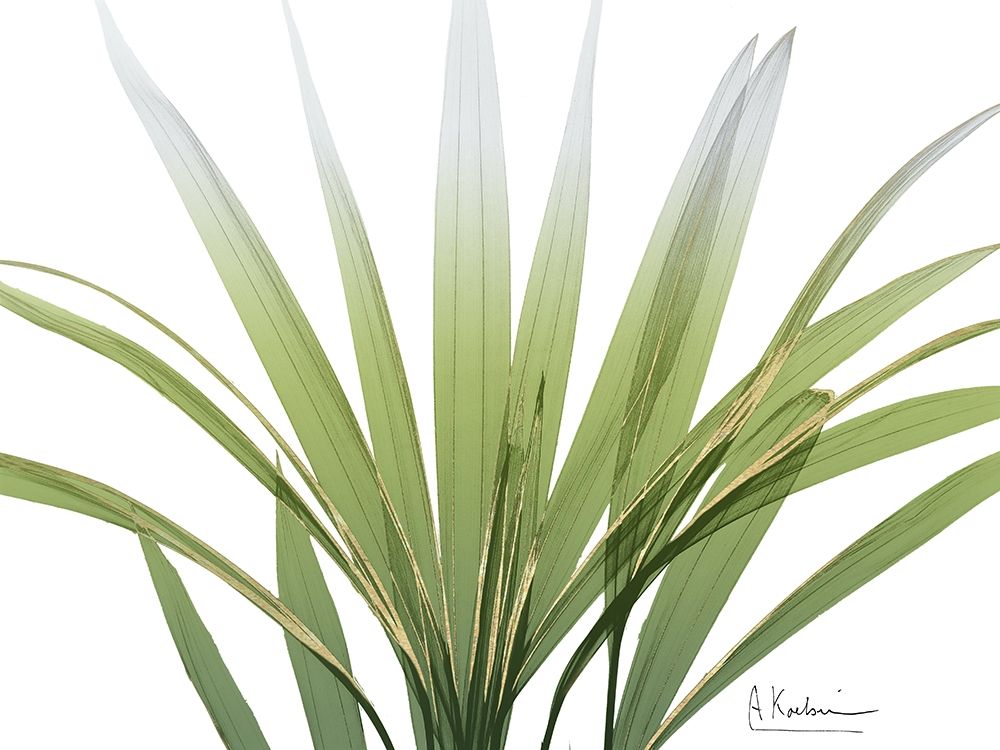 Golden Palm art print by Albert Koetsier for $57.95 CAD