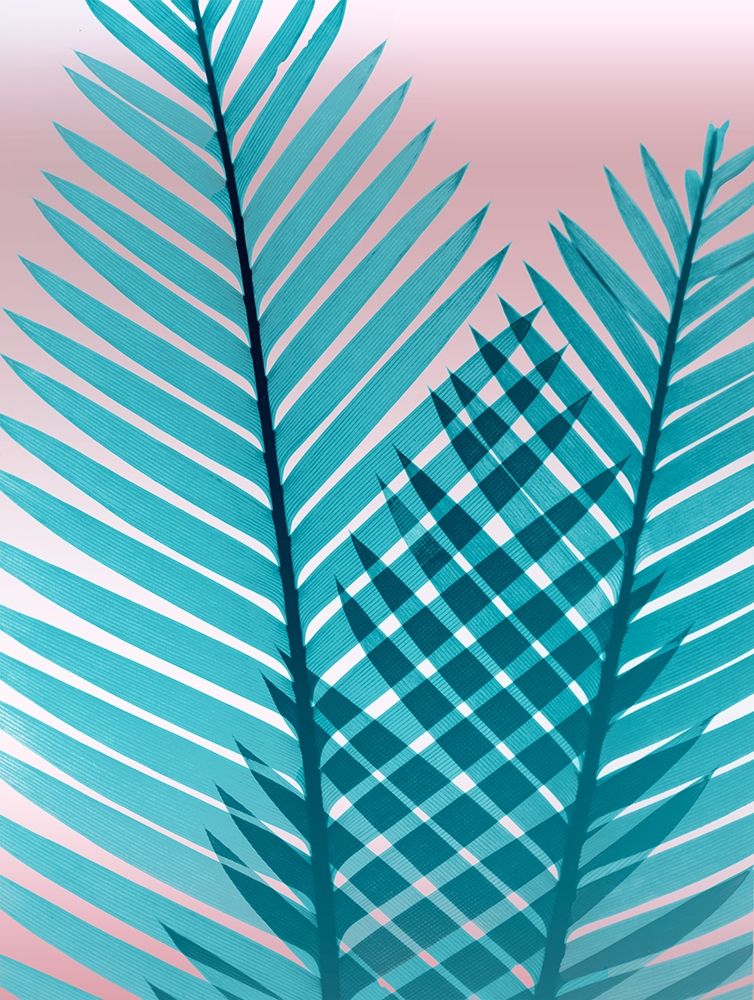 Cotton Candy Fern art print by Albert Koetsier for $57.95 CAD