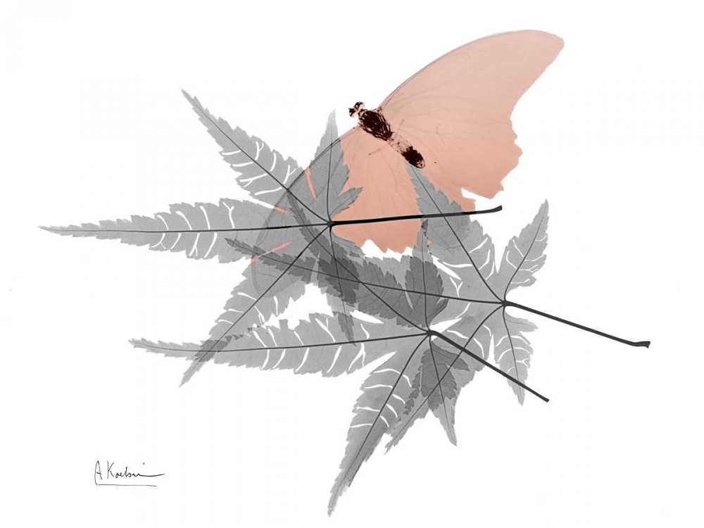 Hidden Flight 1 art print by Albert Koetsier for $57.95 CAD