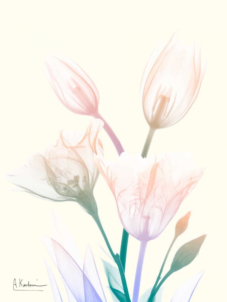 Loud Tempo 1 art print by Albert Koetsier for $57.95 CAD