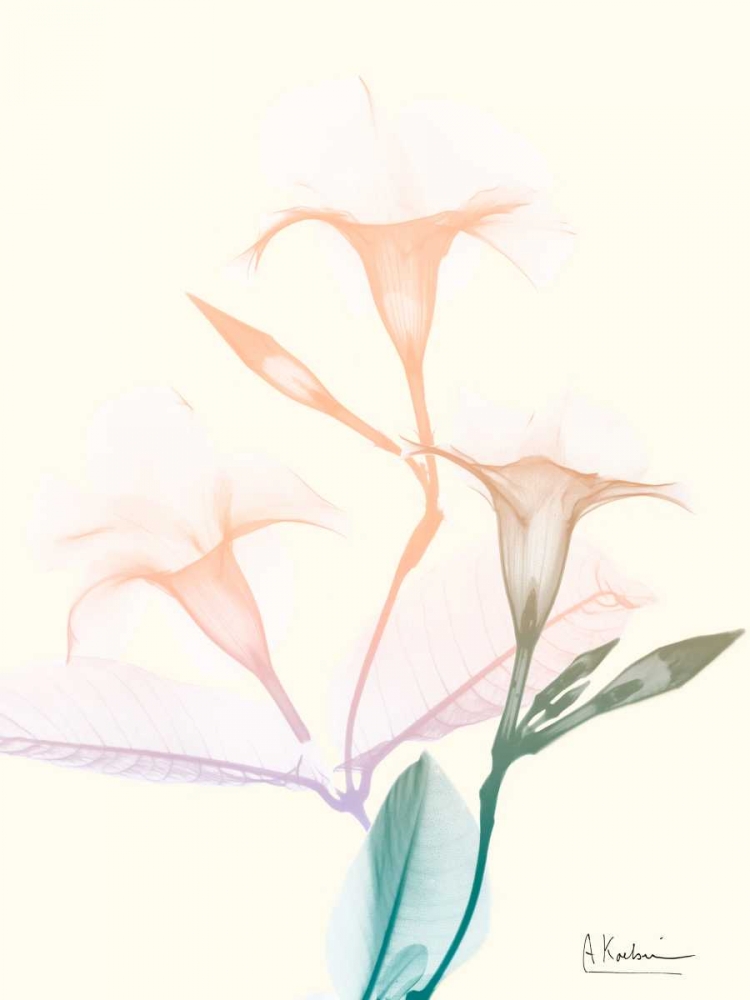 Loud Tempo 2 art print by Albert Koetsier for $57.95 CAD
