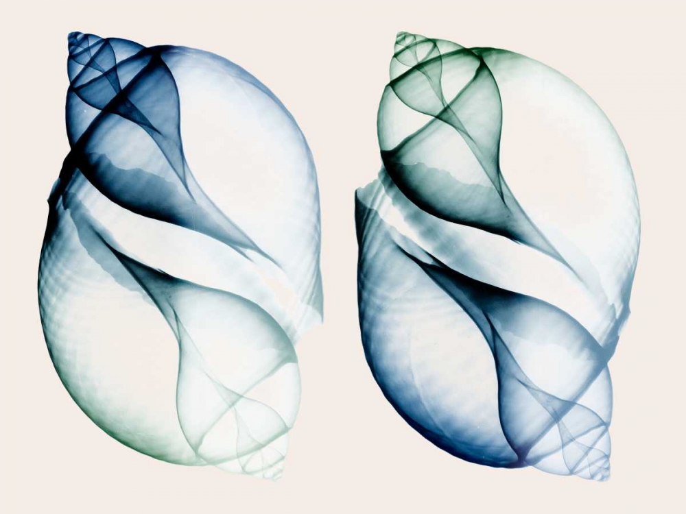 Split Breeze 1 art print by Albert Koetsier for $57.95 CAD