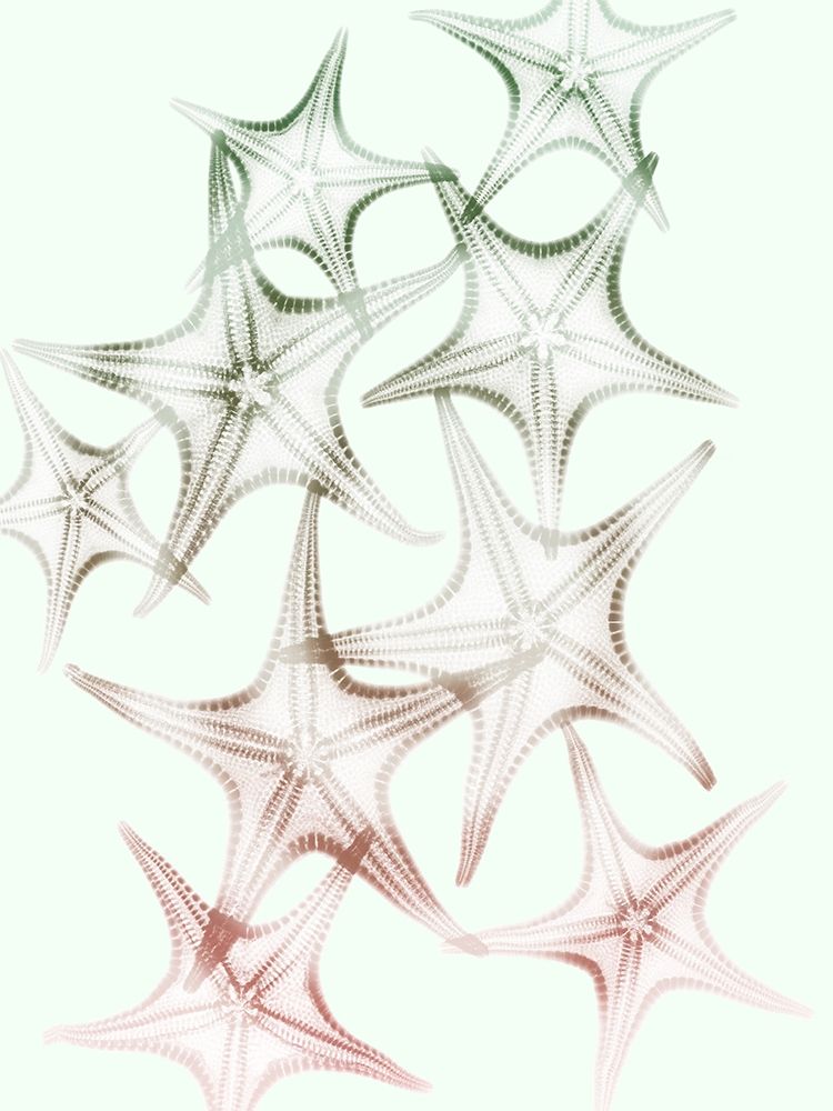 Sweet Starfish 2 art print by Albert Koetsier for $57.95 CAD