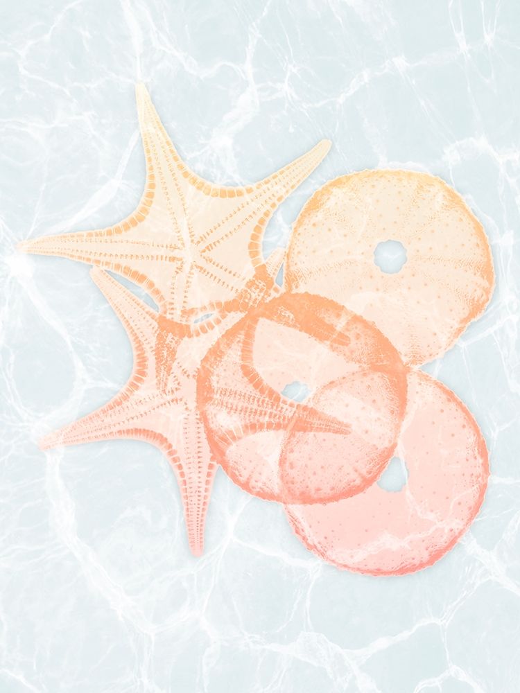 Starfish Shine art print by Albert Koetsier for $57.95 CAD