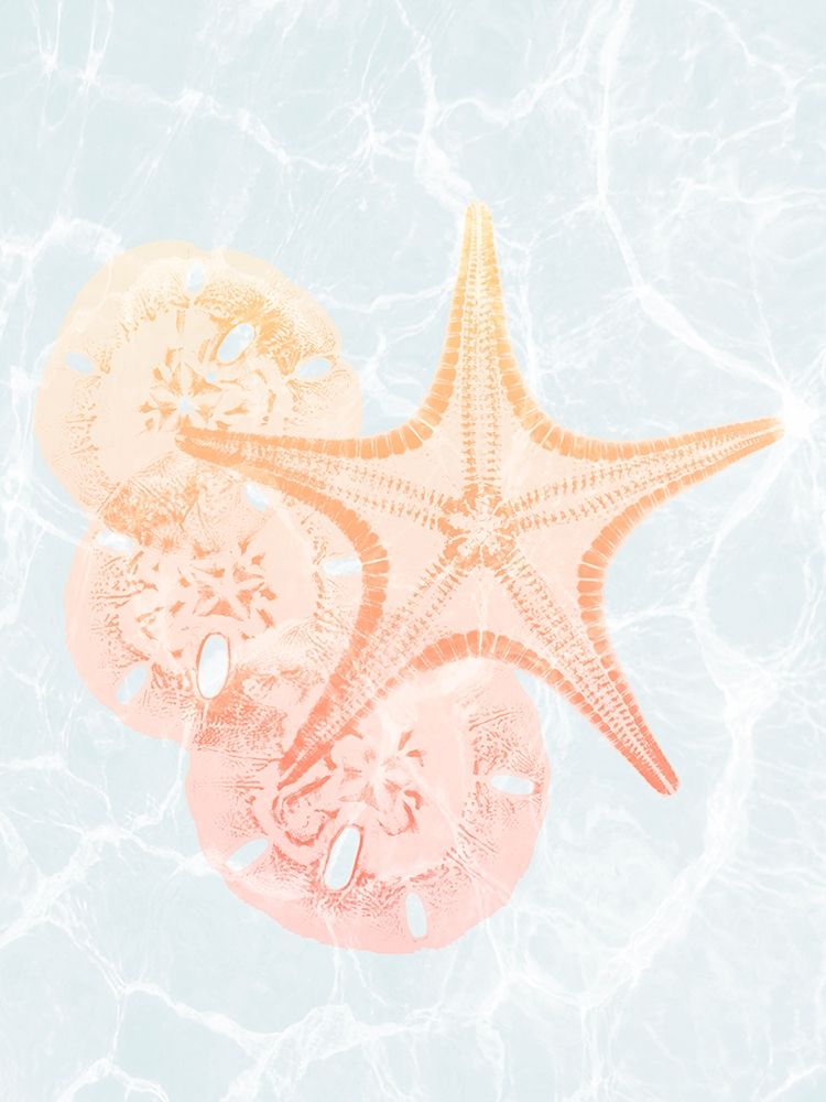 Starfish Shine 2 art print by Albert Koetsier for $57.95 CAD