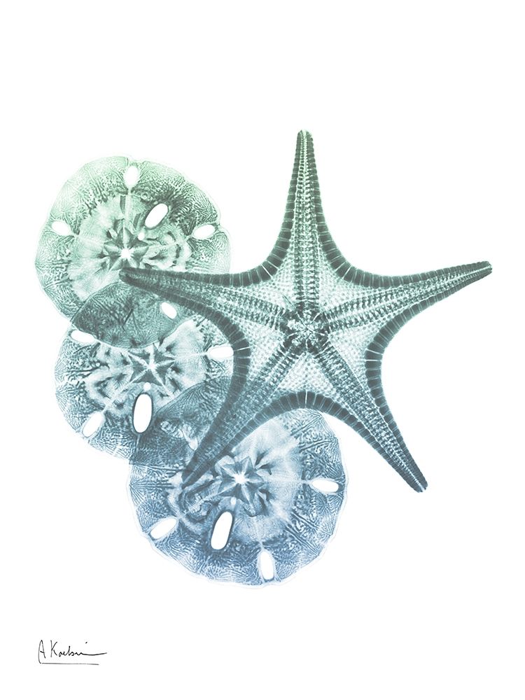 Shimmering Dollars and Stars art print by Albert Koetsier for $57.95 CAD