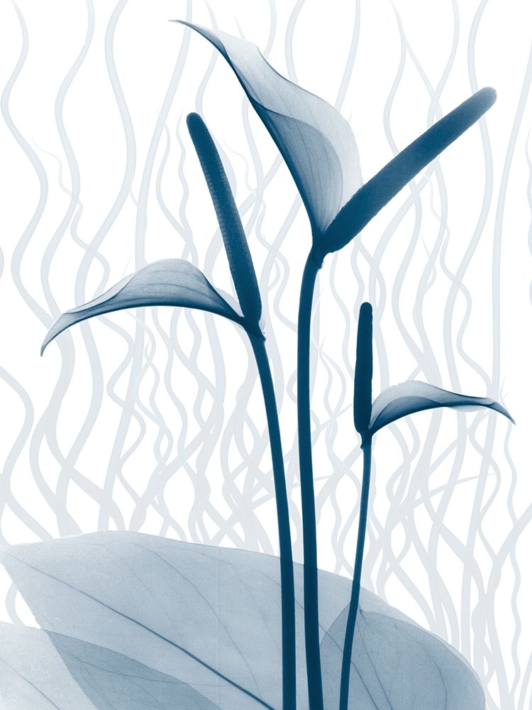 Blue Dawn 1 art print by Albert Koetsier for $57.95 CAD