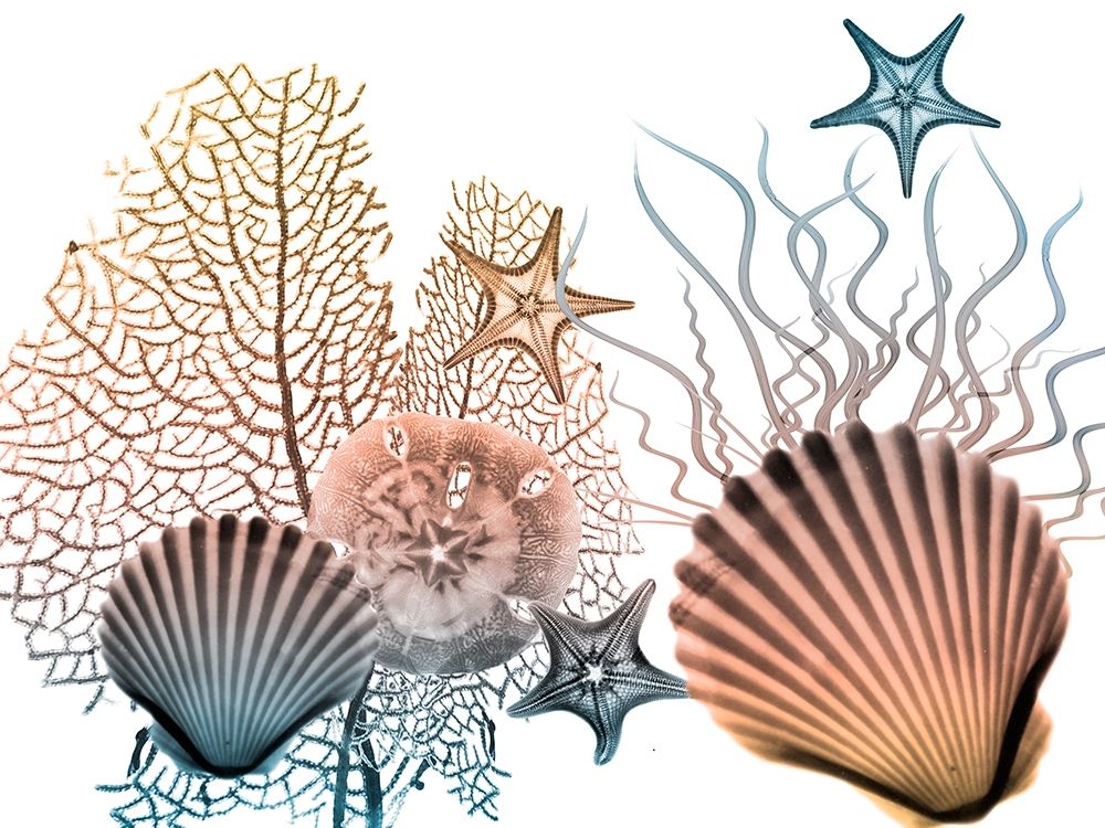 Sea Collective 2 art print by Albert Koetsier for $57.95 CAD