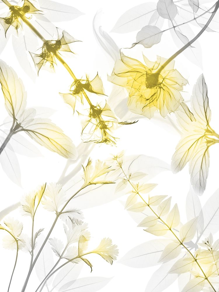 Reaching Brightness 2 art print by Albert Koetsier for $57.95 CAD