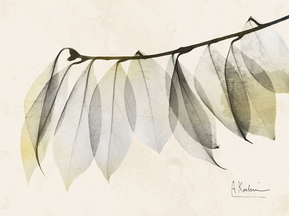 Sunkissed Camelia Leaf art print by Albert Koetsier for $57.95 CAD