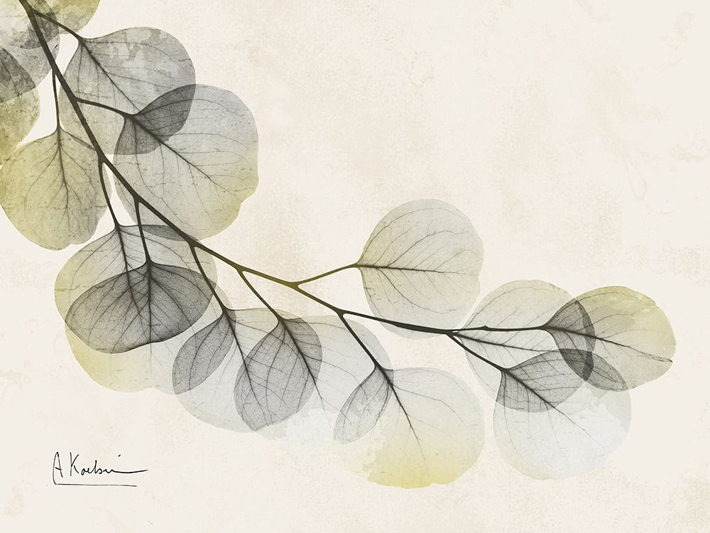 Sunkissed Eucalyptus art print by Albert Koetsier for $57.95 CAD