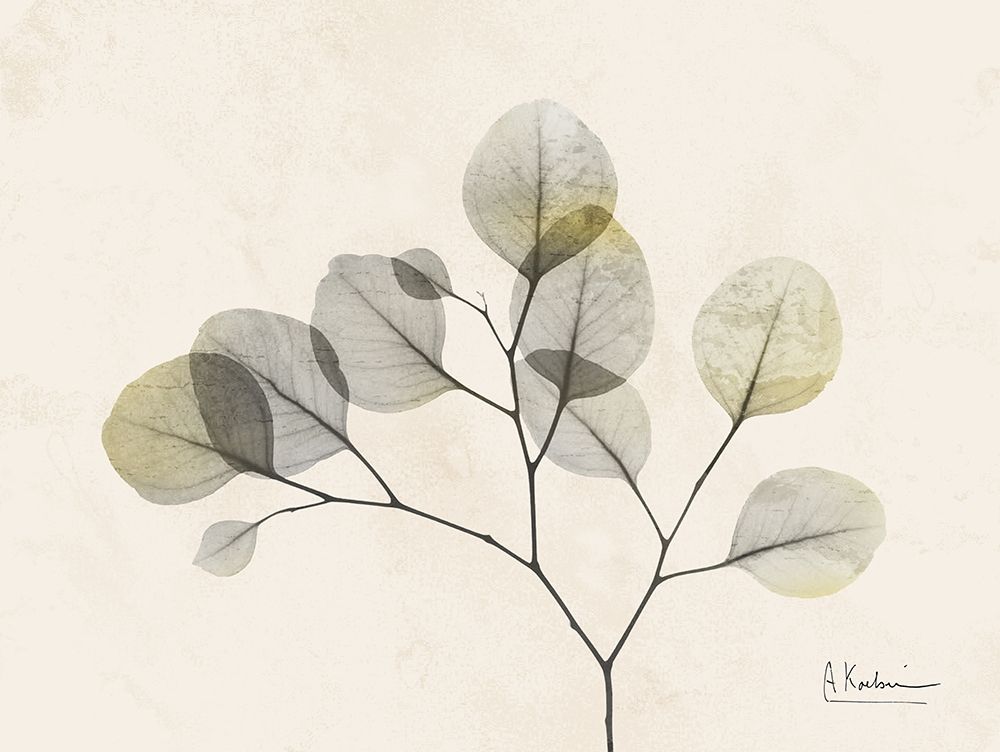 Sunkissed Eucalyptus 2 art print by Albert Koetsier for $57.95 CAD