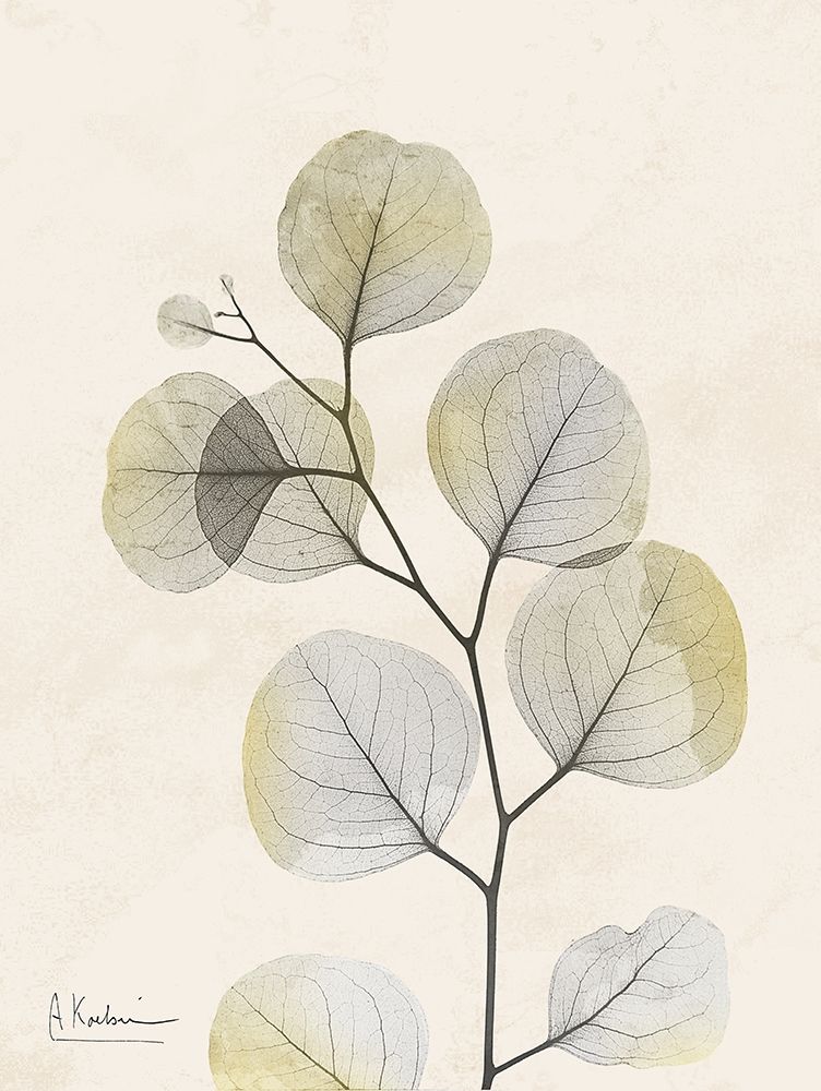 Sunkissed Eucalyptus 3 art print by Albert Koetsier for $57.95 CAD