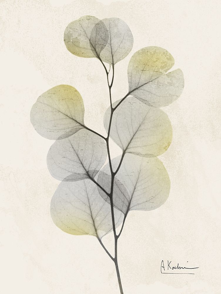 Sunkissed Eucalyptus 4 art print by Albert Koetsier for $57.95 CAD