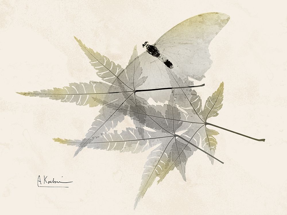 Sunny Flight art print by Albert Koetsier for $57.95 CAD