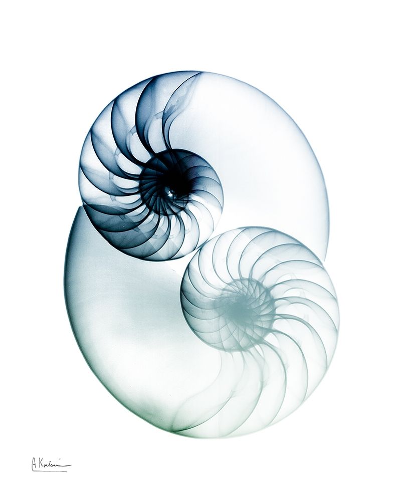 Crystal Breeze 2 art print by Albert Koetsier for $57.95 CAD
