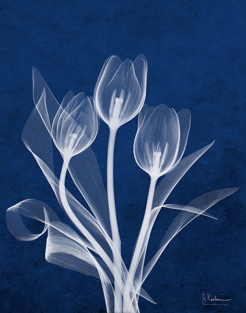 Ecto Indigo Tulips art print by Albert Koetsier for $57.95 CAD