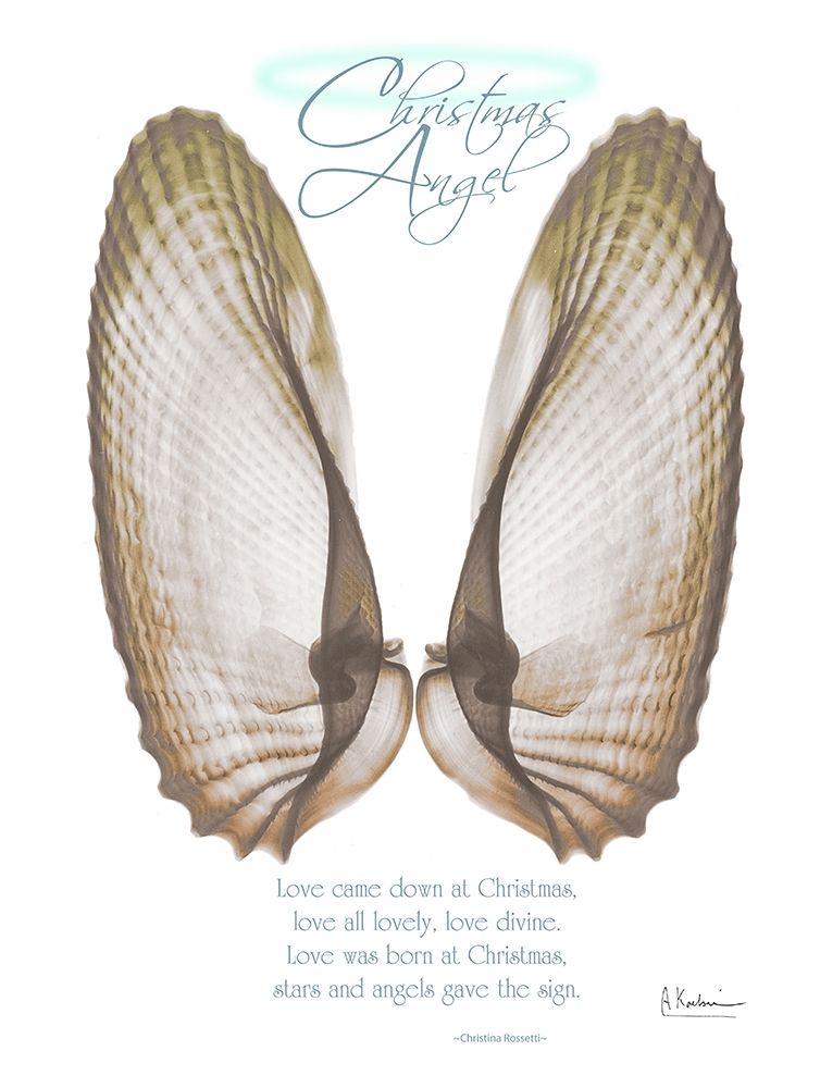 Christmas Morning Wings art print by Albert Koetsier for $57.95 CAD