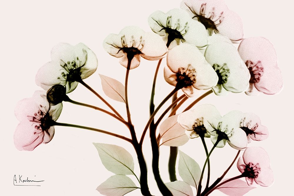 Vibrant Shine art print by Albert Koetsier for $57.95 CAD