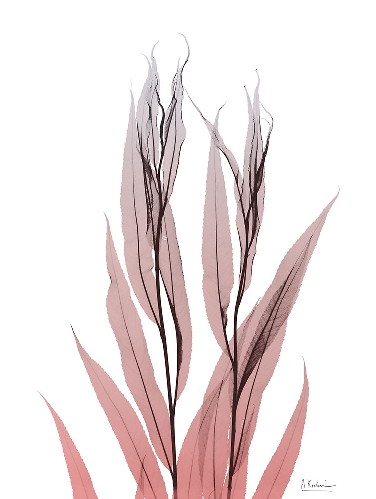 Vibrant Bamboo Leaf 2 art print by Albert Koetsier for $57.95 CAD