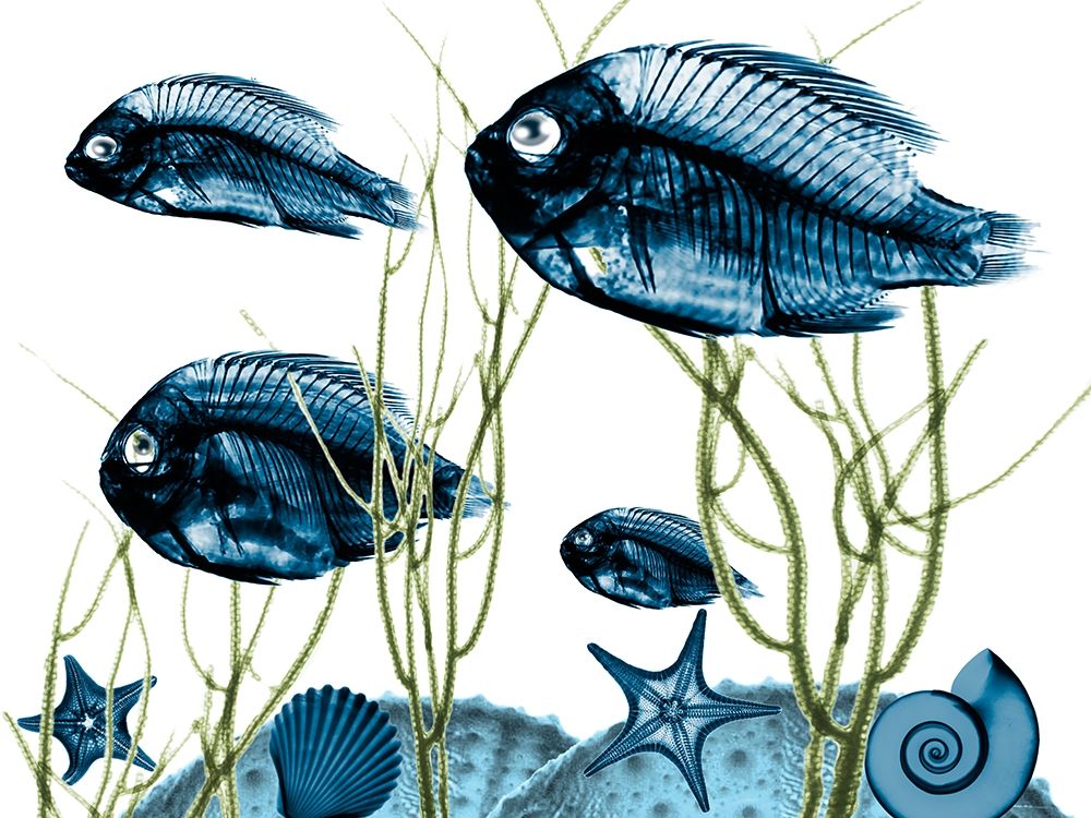 Aquatic Home 2 art print by Albert Koetsier for $57.95 CAD