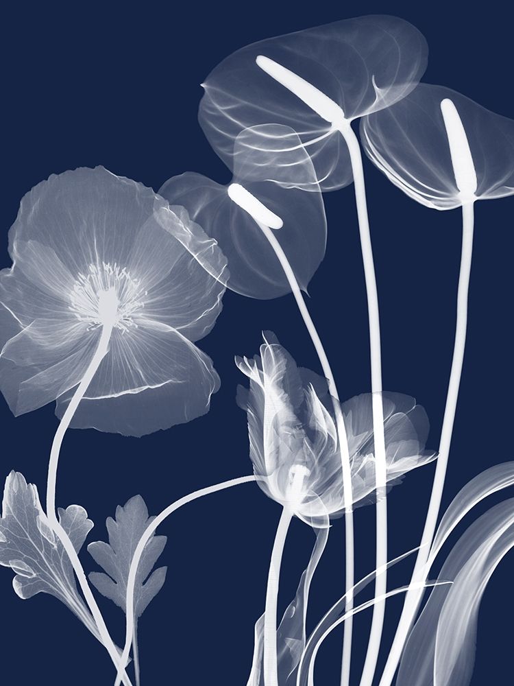 Navy Flora 1 art print by Albert Koetsier for $57.95 CAD