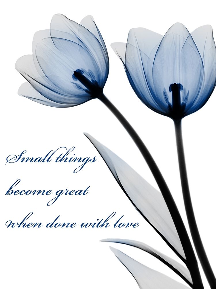 Small Things art print by Albert Koetsier for $57.95 CAD