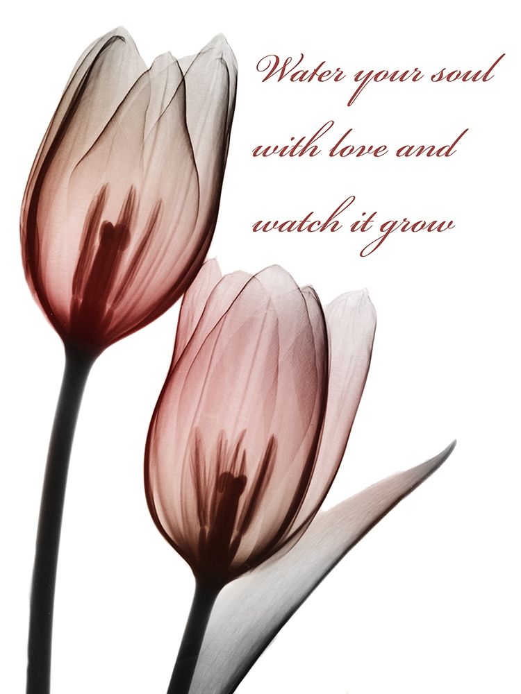 Growing Love art print by Albert Koetsier for $57.95 CAD