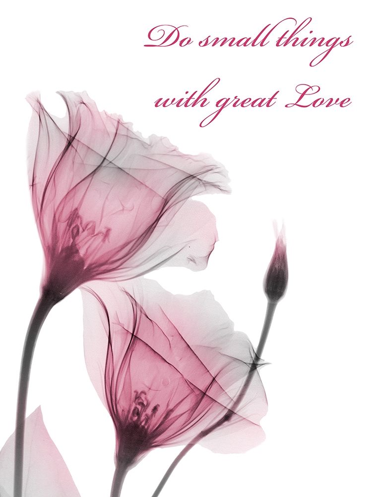 Great Love art print by Albert Koetsier for $57.95 CAD