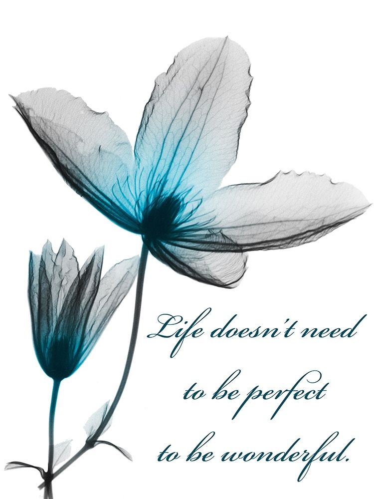 Wonderful Life art print by Albert Koetsier for $57.95 CAD