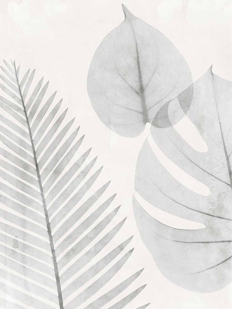 Distilled Botanicals 1 art print by Albert Koetsier for $57.95 CAD